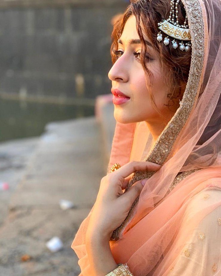 Sonarika Bhadoria Saree 4