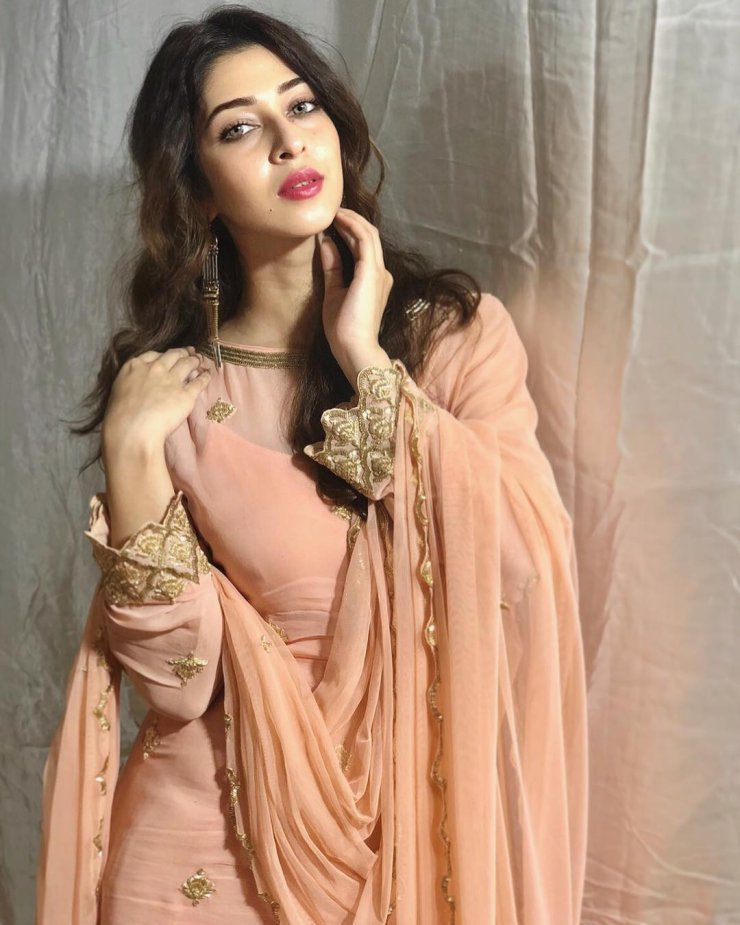 Sonarika Bhadoria Saree 8