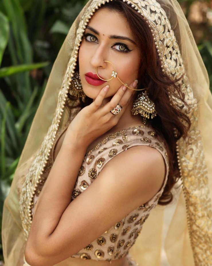 Sonarika Bhadoria Saree