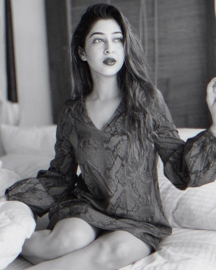 Sonarika Bhadoria Sexy 8