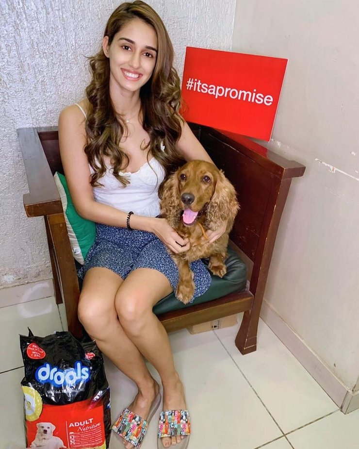 Disha Patani Shining And Pet