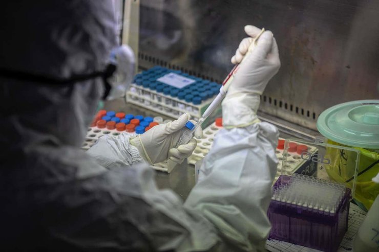 Coronavirus Is Mutating