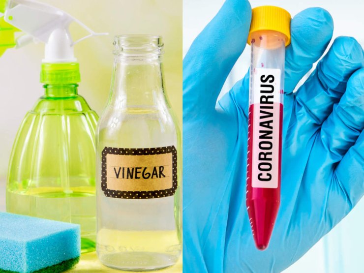 Does Acetic Acid Kill Coronavirus