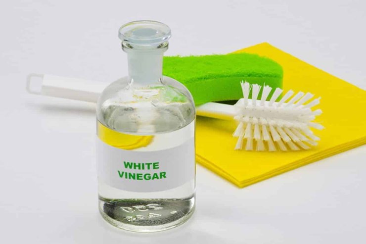 White Vinegar Acetic Acid Coronavirus Disinfectant