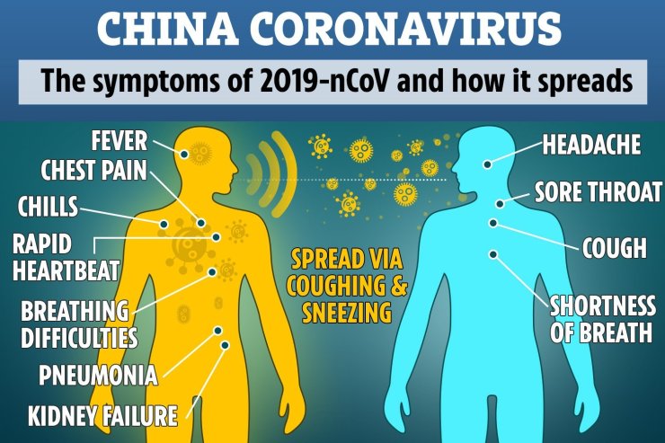 Corona Virus