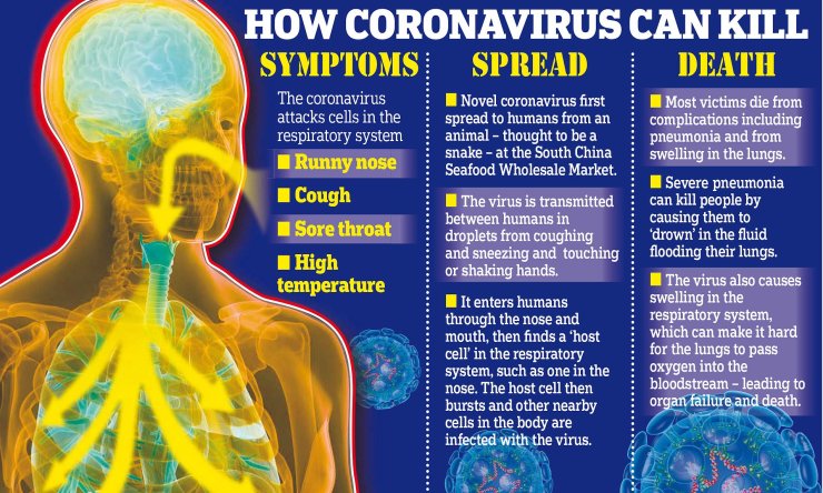 How does coronavirus affect the body