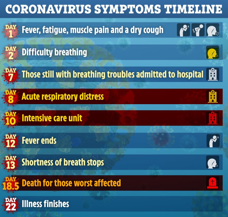 How does coronavirus affect the body