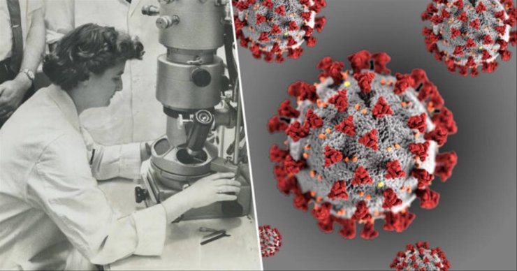 June-Almeida-coronavirus