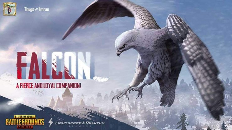 Pubg Companion event