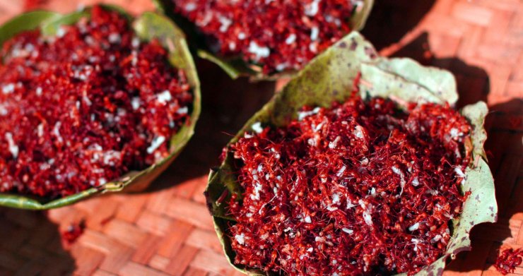 red-ant chutney made by the Gond tribals of Chhattisgarh