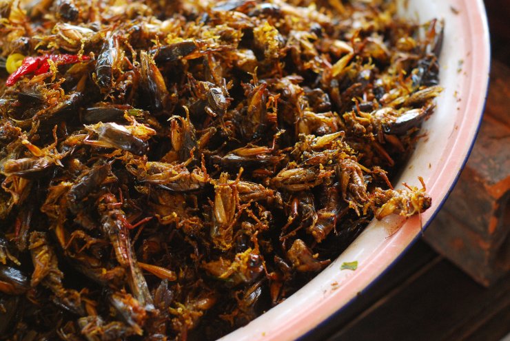eesal in Tamil Nadu