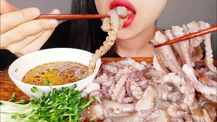 Eat Live Octopus