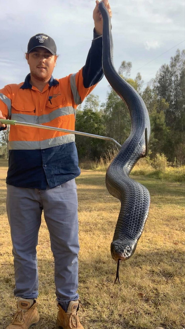 Python
