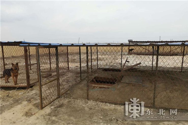 Miner Kennel