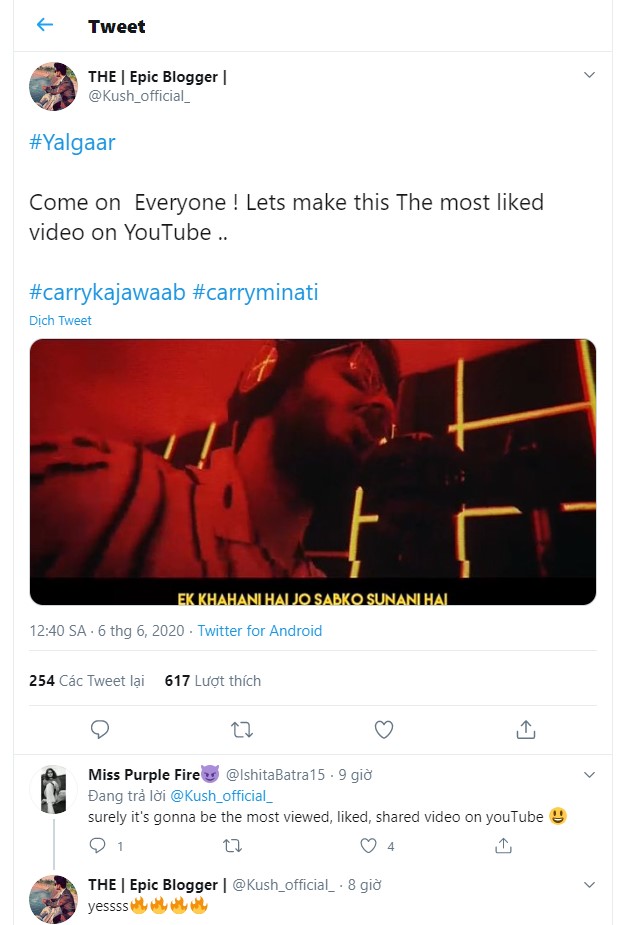 CarryMinati Yalgaar fans
