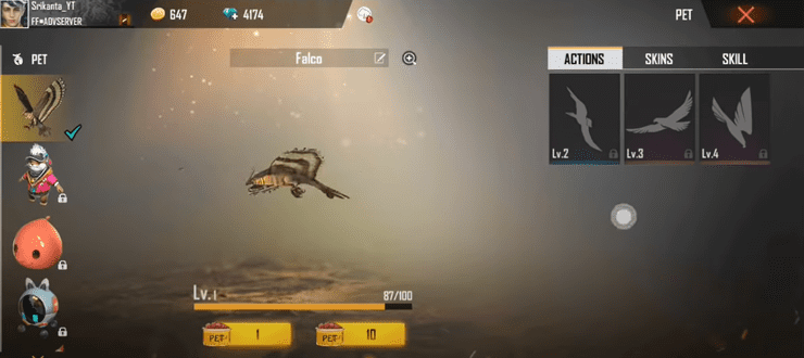 Free Fire Falco Pet Name Style Choose The Best Name For New Bird Pet