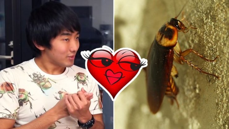 Japanese Man Dated A Cockroach
