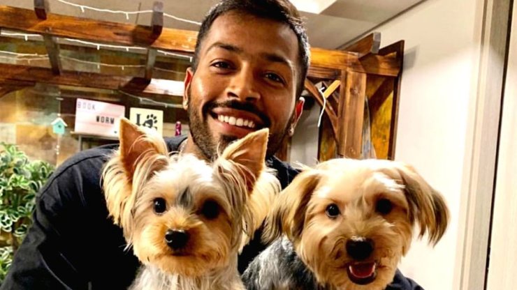 Hardik Pandya Dog Lover