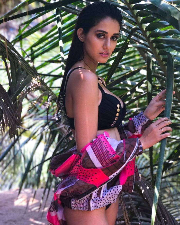 Kinjal Dave Hot Sex - These Hotter-Than-July Pictures Of Disha Patani Will Blow Your Mind