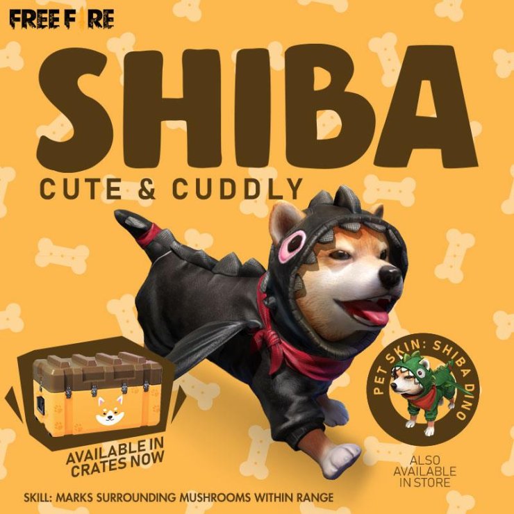 Shiba