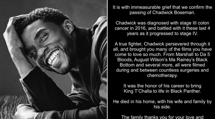 Chadwick Boseman Death 43 Black Panther Star