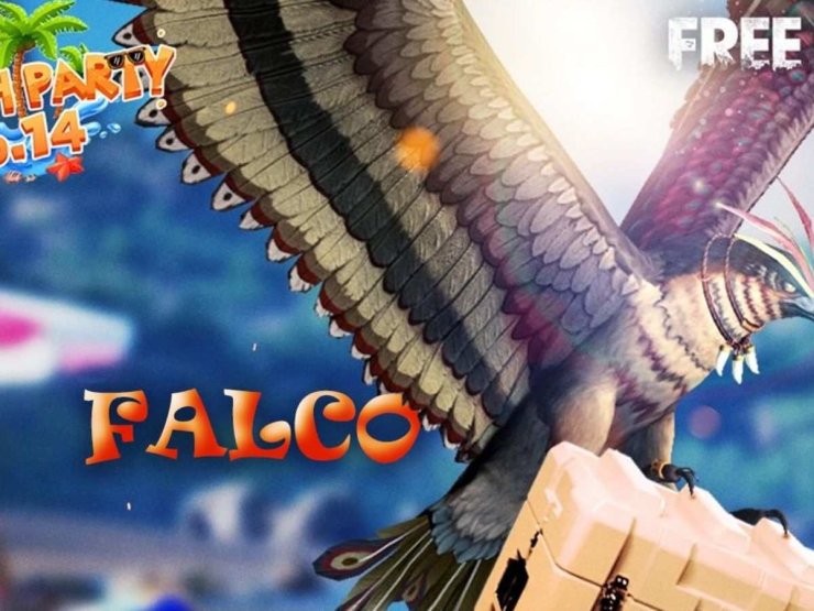 Falco