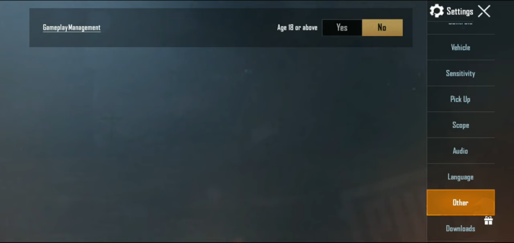 Gameplay Management System Pubg