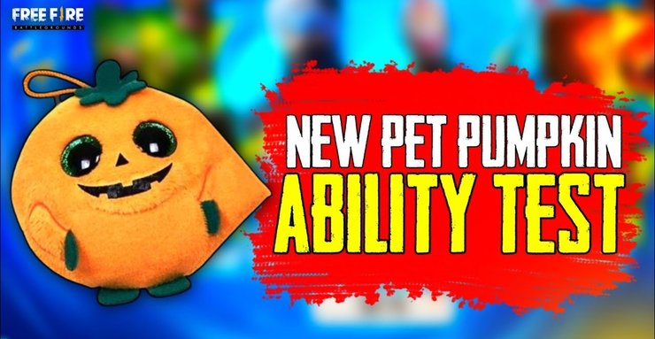 New Pumpkin Pet