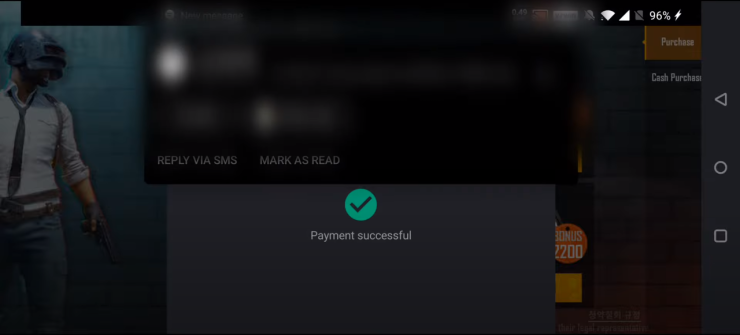 Payment Success