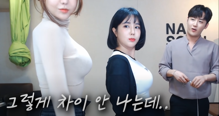 The Implanted Breasts Of Hyo Joo Won