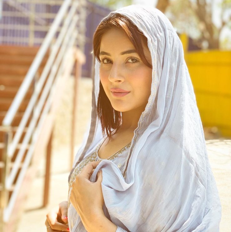 Shehnaaz Gill 17