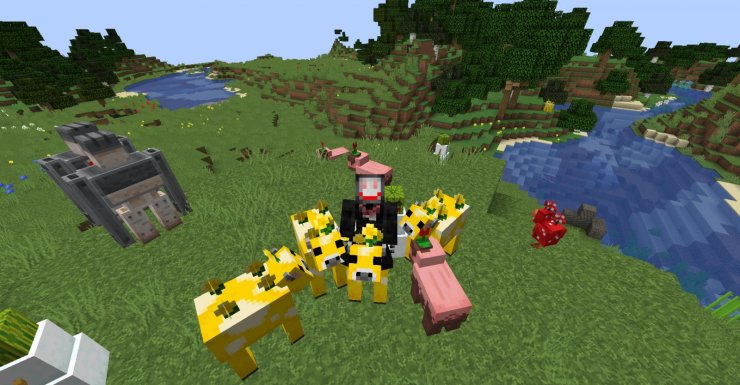 tiny player mod minecraft java