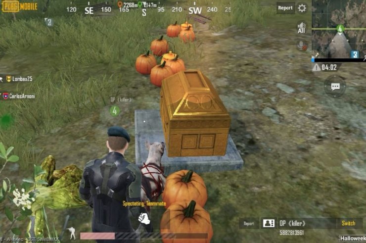 Grand Loots