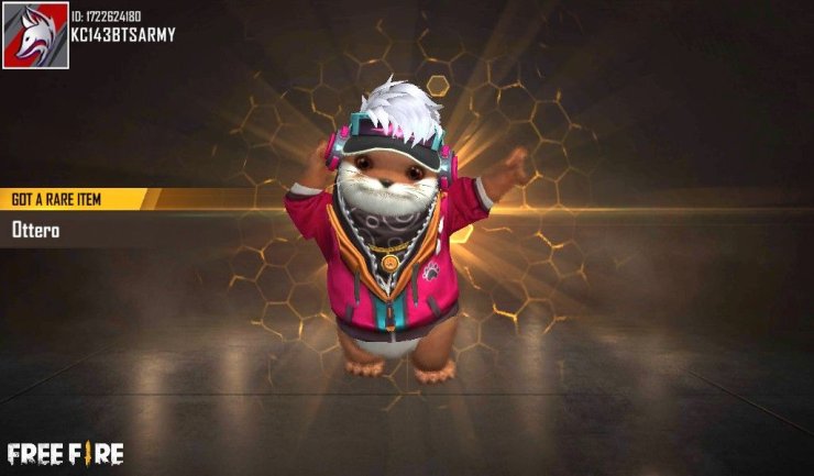 Ottero Free Fire Pets