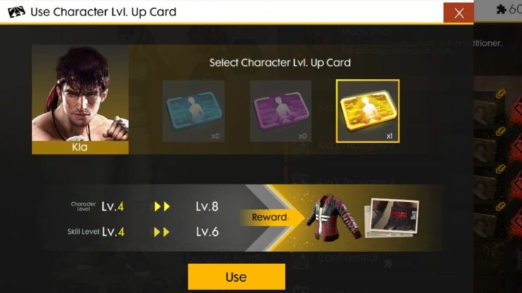 Character Level Card 2