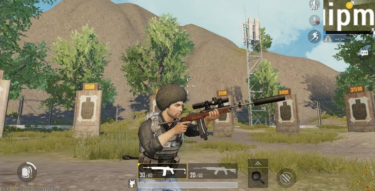 Mini 14