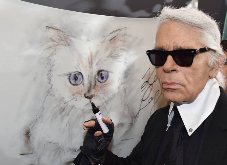 Inherit Rs1480 Crore Fortune, A Billionaire Cat Enjoys Most Luxurious Life