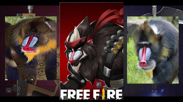 Free Fire Advance Server Ob25 New Baboon Pet Origins Ability And Everything You Need To Know
