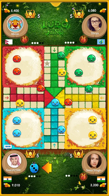 Ludo King Play With Friends