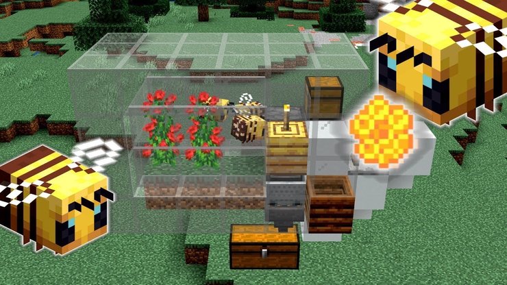 How to get honey in a bottle minecraft without being stung