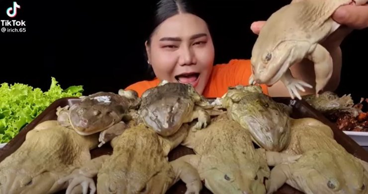 Girl Eats Live Frog