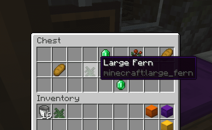 Large Fern