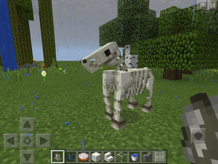 Minecraft İskelet Atı