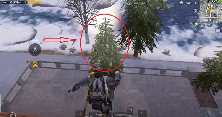 Jump To This Tree And Sit Quietly