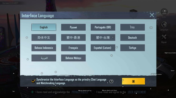 Change the language to English