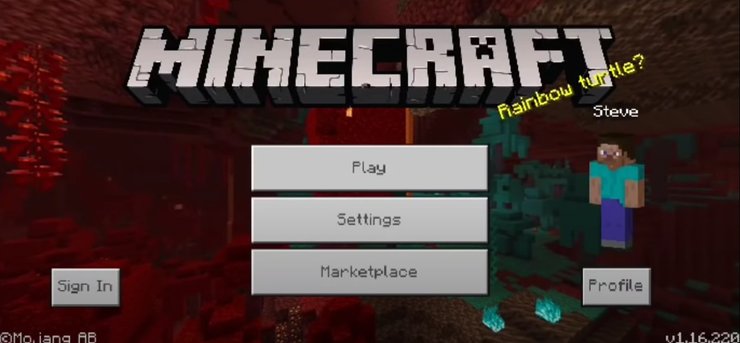 Play Minecraft