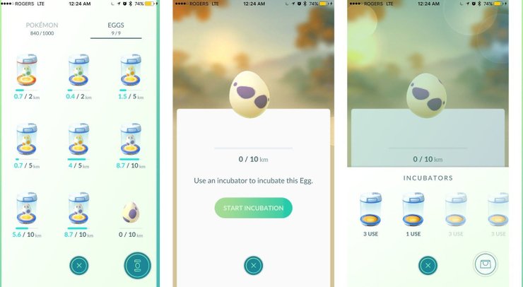 Pokemon Eggs