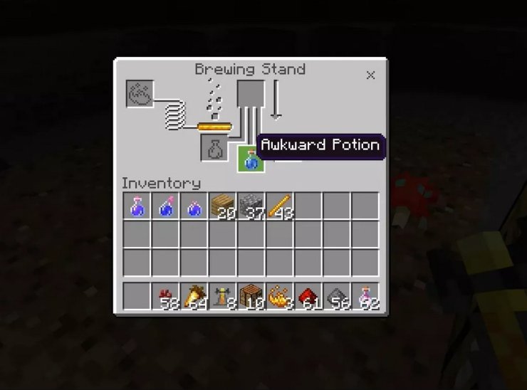 minecraft potion of night vision