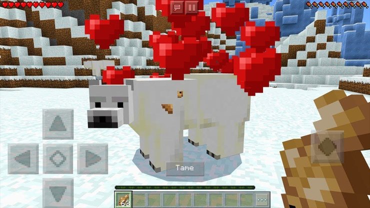 Full Guide On How To Tame & Breed Polar Bears In Minecraft