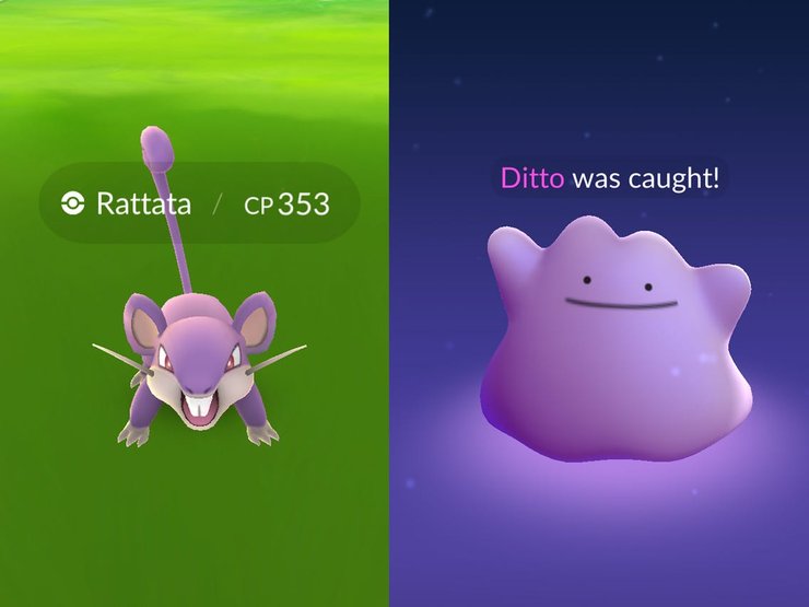 How To Catch Ditto In Pokemon Go